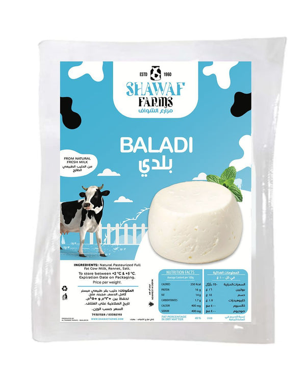 Baladi